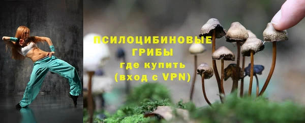 ALPHA PVP Нея