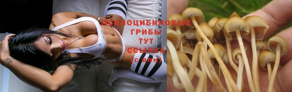 ешки Навашино