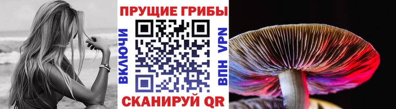 Галлюциногенные грибы Magic Shrooms  цена наркотик  Новоаннинский 